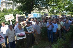 Victimele atacate de urs ar putea primi despăgubiri de la stat. Ministerul mediului a aprobat planul pentru managementul populaţiei de urs