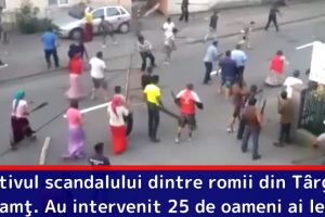 Motivul scandalului dintre romii din Târgu-Neamţ. Au intervenit 25 de oameni ai legii