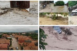 Ajutoare de urgenţă pentru sprijinirea sinistraţilor alocate de Guvern şi fonduri pentru reducerea şomajului