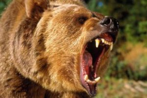 O vedetă celebră de la noi a văzut  MOARTEA în faţă! Imaginile GROAZEI au devenit virale pe internet