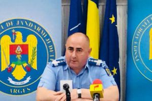 Tăierile ilegale de lemne continuă în judeţ