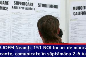 AJOFM Neamţ: 151 NOI locuri de muncă vacante, comunicate în săptămâna 2-6 iulie