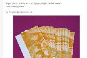 Bugetarii incalca legea! Vouchere de vacanţă, scoase la vânzare pe internet, la jumatate de pret