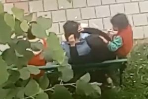 VIDEO. Despăduchere în grup la Carei