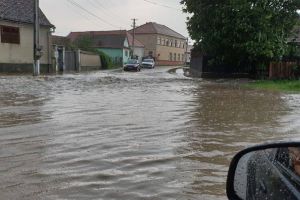 FOTO: Rupere de nori la Săcădate – Șuvoaie de apă de drumurile din sat – Subsoluri inundate