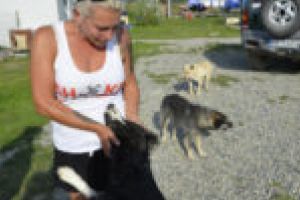 Din Elveţia, Austria şi Germania, la Oţelu Roşu. „Am cules de pe străzi sute de câini. Şi animalele fără stăpân pot fi iubite“