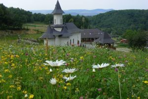 Mănăstirea Strâmba, colţ de rai. Frumuseţile Munţilor Bârgăului într-o zi de drumeţie (FOTO)