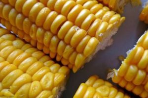 Mare atenţie la porumbul congelat! Nouă persoane au murit până acum