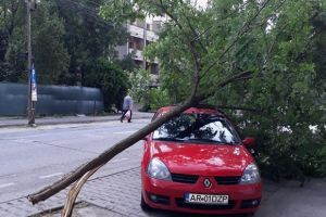 NEWS ALERT/ Furtuna a făcut PRĂPĂD în Arad! Copaci DOBORÂŢI, acoperişuri SMULSE