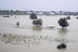 Cod galben de vreme rea în judeţul Vâlcea/ Recomandări pentru circulaţia rutieră