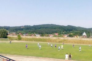 Test util pentru alb-violeţi