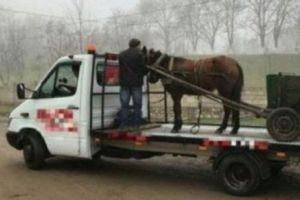 Fabuloasa epopee a DRUMURILOR DIN RUSIA. Extratereştrii mai lipseau, în rest au de toate... Galerie foto
