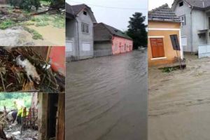 VIDEO / Urmările inundaţiilor la Șona. Oameni deznădăjduiţi, case, curţi şi grădini inundate, animale speriate