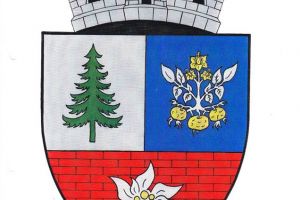 Comuna Lisa are stemă reprezentativă