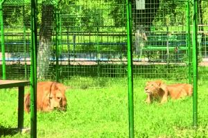 ZOO CĂLĂRAŞI – MAI BOGATĂ CU DOI LEI!