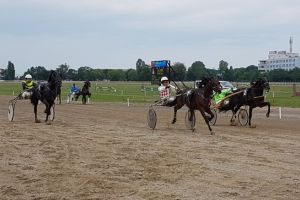 Detoxicated, prima în cursa cu 7 cai