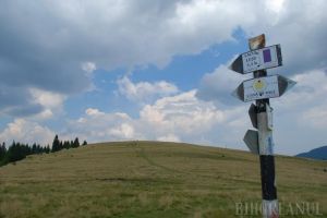 Patru turişti rătăciţi la Stâna de Vale, recuperaţi de jandarmi