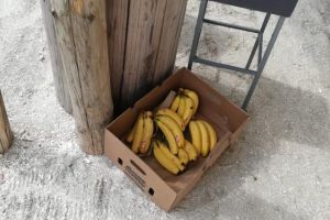 Comercianti ambulanti, sanctionati de politistii locali in statiunea Mamaia