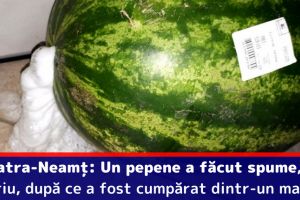 Piatra-Neamţ: Un pepene a făcut spume, la propriu, după ce a fost cumpărat dintr-un magazin