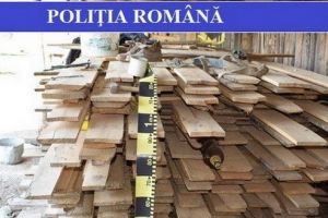 Material lemnos confiscat