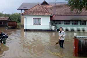 Trei gospodării inundate la Urmeniş. Pompieri din judeţul Mureş au sărit în ajutorul localnicilor (FOTO)