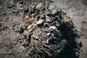 Mulţumesc că m-ai salvat!