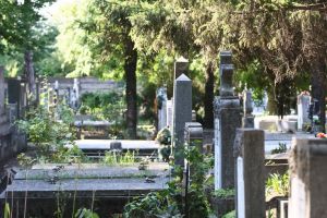 Arborii periculoşi din cimitir vor fi toaletaţi. Orădenii, aşteptaţi să depună cereri