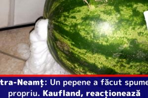 Piatra-Neamţ: Un pepene a făcut spume, la propriu. Kaufland reacţionează!