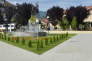 Campania de dezinsecţie de la Oţelu Roşu, extinsă şi în zona blocurilor [VIDEO]