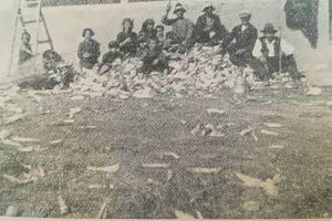 #citesteDobrogea: Prevestiri din lumea fizica sau animala, la aromani. Lucrari din Biblioteca Virtuala ZIUA de Constanta
