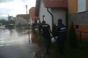 Intervenţie a pompierilor arădeni: Construiesc un dig din saci de nisip (FOTO)