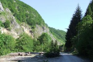 Prin ţara Jiului de Sus în crucea verii (II)