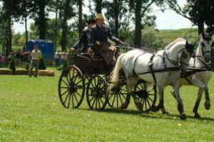 Primul Campionat Internaţional de Atelaje cu Doi Cai, organizat la Olteni, a fost un succes