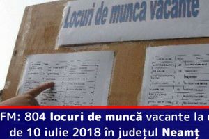 AJOFM: 804 locuri de muncă vacante la data de 10 iulie 2018 în judeţul Neamţ