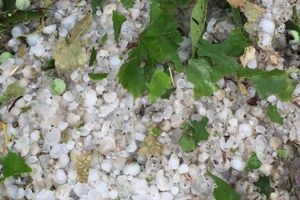 Aproape 1.300 de hectare de terenuri agricole şi păşune, calamitate de ape