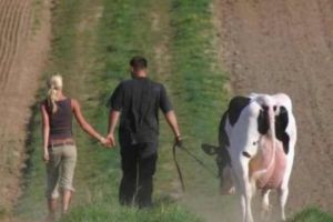 Ruşii ȘOCHEAZĂ din nou. Imagini pe care DOAR la ei le VEZI. Galerie foto