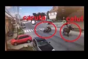 Scene incredibile filmate in Ploiestiul anului 2018! Un cal scapa de la caruta si o ia la fuga pe strada