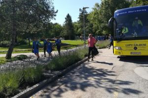 ''Lupii galbeni'' şi ''caramelele albastre''