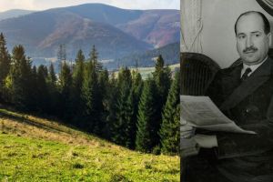 Urmaşii baronului Daniel Banffy au pierdut procesul cu Romsilva. Peste 9.000 de hectare de pădure au intrat în patrimoniul statului român