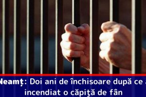 Neamţ: Doi ani de închisoare după ce a incendiat o căpiţă de fân