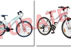 Doua biciclete furate din curtea casei, la Timisoara