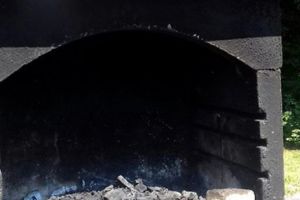 Acte de vandalism la Mioveni, în zona de picnic