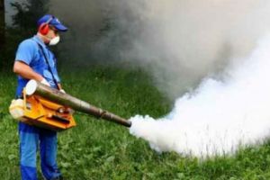 A fost stabilit programul acţiunilor de dezinsecţie, dezinfecţie şi deratizare în Ploieşti