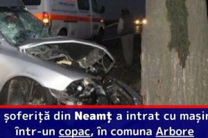 O şoferiţă din Neamţ a intrat cu maşina într-un copac, în comuna Arbore