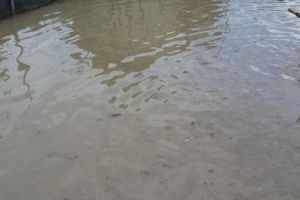 Gospodarii inundate, in judetul Tulcea. Intervin in forta pompierii, pentru evacuarea apei