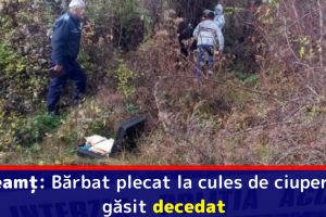Neamţ: Bărbat plecat la cules de ciuperci, găsit decedat