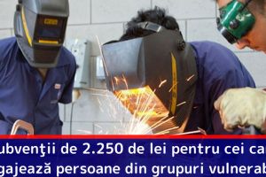 Subvenţii de 2.250 de lei pentru angajatorii care încadrează persoane din grupuri vulnerabile