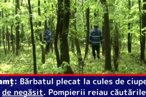 Neamţ: Bărbatul plecat la cules de ciuperci, de negăsit. Pompierii reiau căutările