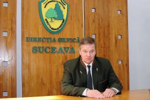 Recoltarea a aproape 100 de tone de ciuperci comestibile, contractată de Direcţia Silvică Suceava