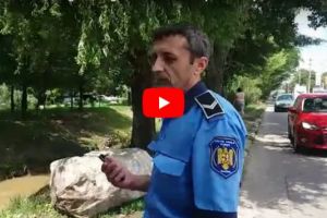 Înjurături şi ameninţări. Doua tigãnci, surprinse de Poliţia Locală aruncând gunoaie de Dâmbu, la nici o saptamana de la igienizarea paraului